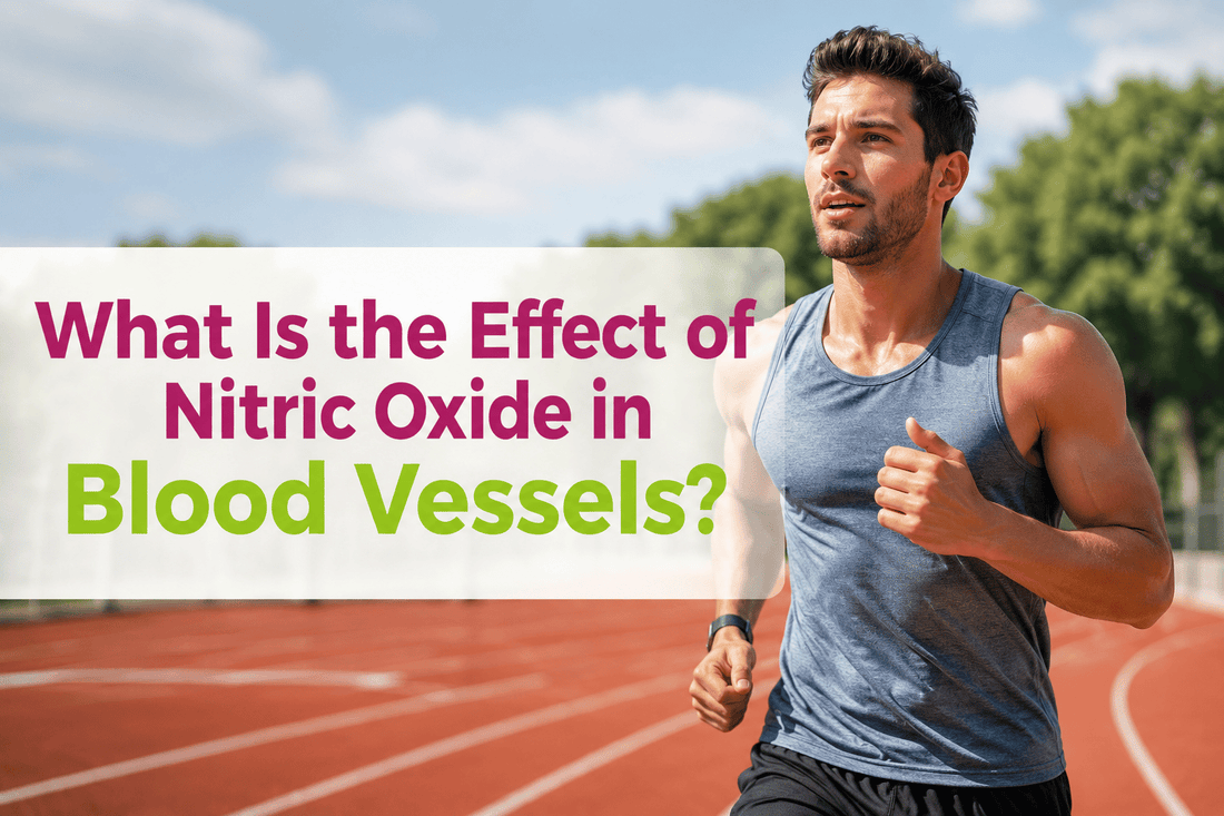 what is the effect of nitric oxide in blood vessels improving blood flow circulation and athletic performance in a healthy athlete body