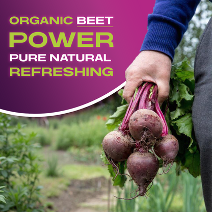 BEET IT ORGANIC BEET JUICE (pack of 12)