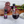 BEET IT Circulation Nitrate 300 - Organic Beet juice shots - 2.4 fl. oz. (pack of 15) - Beet It US
